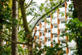 Apartament EXCLUSIVE